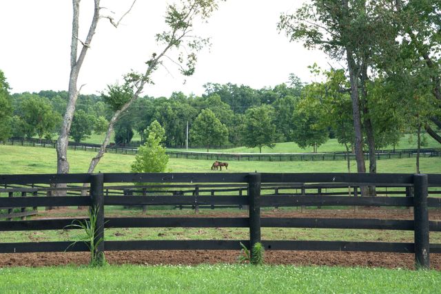 401 Cane Ridge Road, Paris, KY 40361
