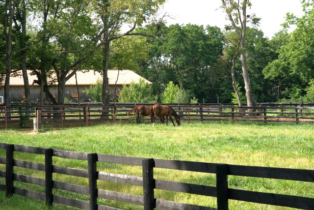 401 Cane Ridge Road, Paris, KY 40361