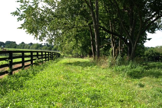 401 Cane Ridge Road, Paris, KY 40361