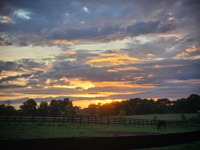 401 Cane Ridge Road, Paris, KY 40361