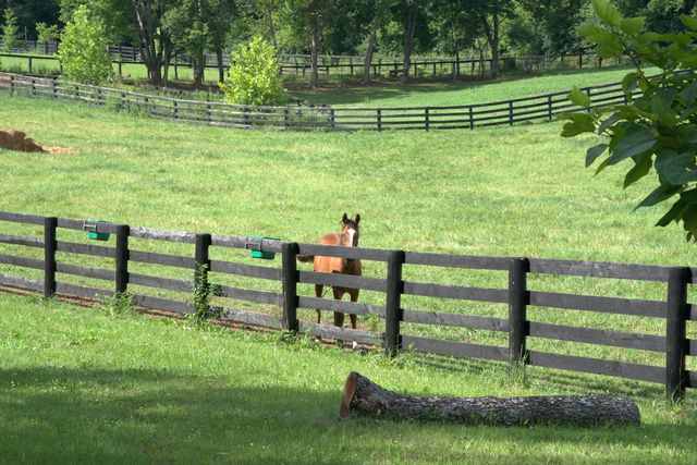 401 Cane Ridge Road, Paris, KY 40361