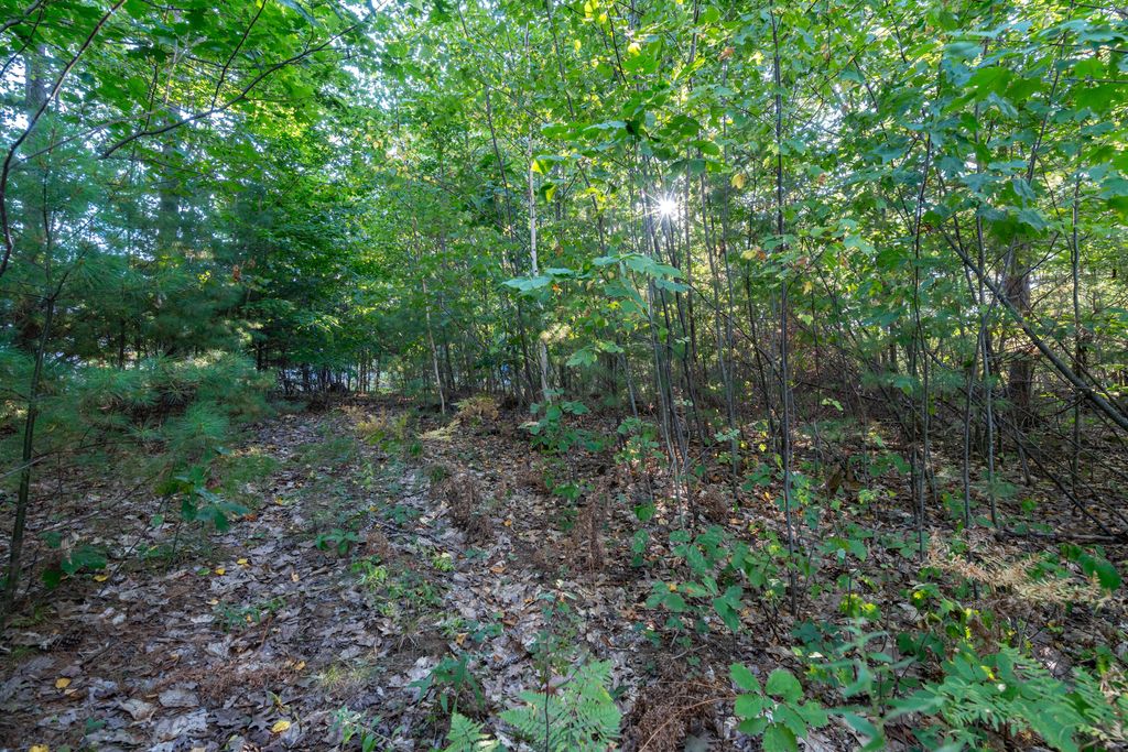 TBD West Road, Waterboro, ME 04087 — photo 4