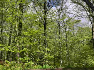 139 Big Bend Loop Unit M139, Wilmington, VT 05363