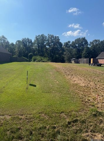 12844 Pendarvis Ln, Walker, LA 70785