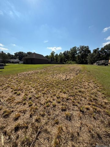 12844 Pendarvis Ln, Walker, LA 70785