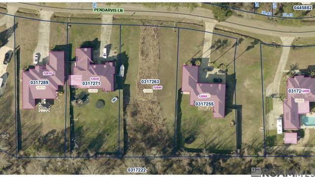 12844 Pendarvis Ln, Walker, LA 70785