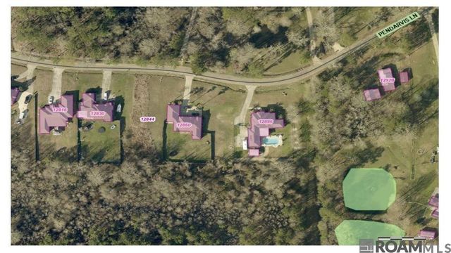 12844 Pendarvis Ln, Walker, LA 70785