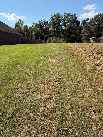 12844 Pendarvis Ln, Walker, LA 70785