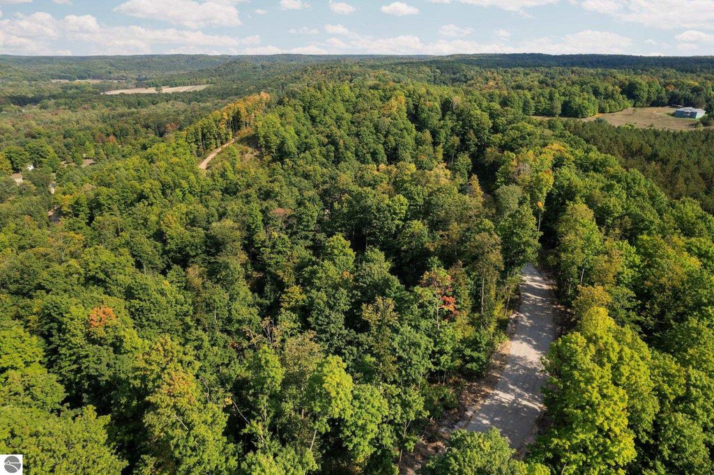 Aerial view of wooded landscape in Rapid City, MI, showcasing rolling hills, dense trees, and a private road, emphasizing the tranquility and natural beauty of the 5.51-acre lot available for sale.