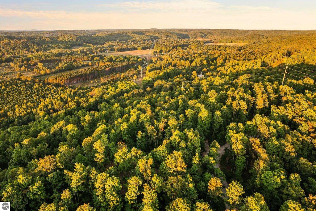 Aerial view of lush green forested land in Northern Michigan, showcasing rolling hills and wooded privacy, ideal for building a dream home or retreat near Rapid City.