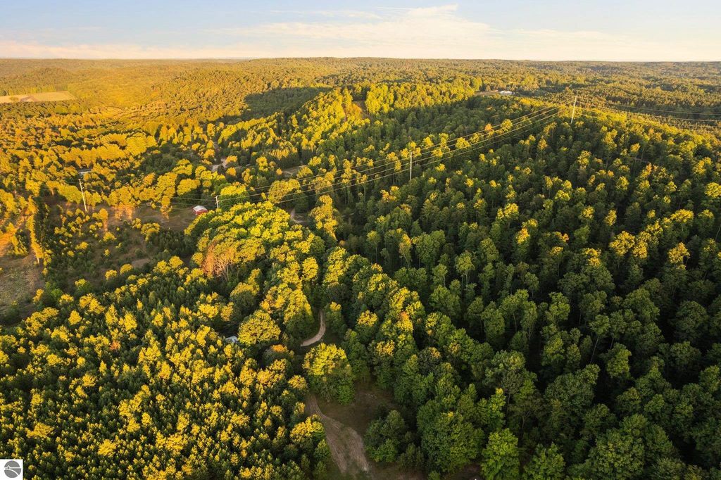Aerial view of lush green wooded landscape in Northern Michigan, showcasing rolling hills, tree cover, and private road access, ideal for building lots near Rapid City.