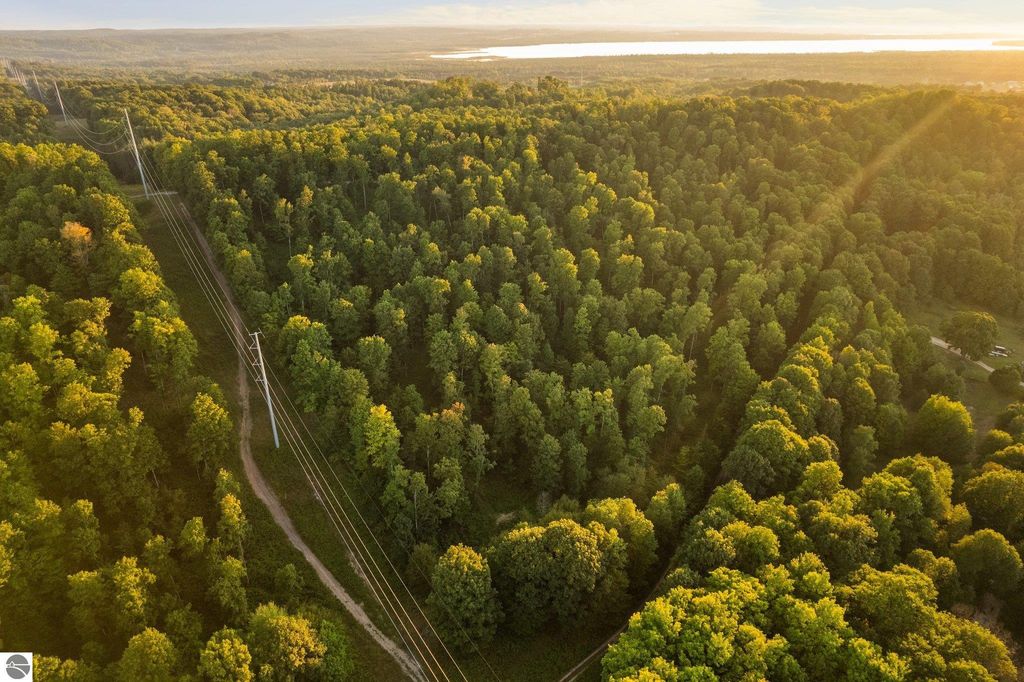 Aerial view of wooded landscape in Northern Michigan, showcasing expansive green trees and private roadways, highlighting serene setting near Rapid City, ideal for building dream homes or retreats.