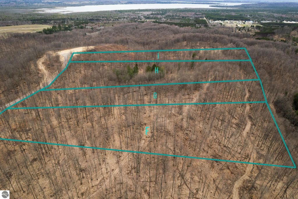Aerial view of wooded land parcels with outlined boundaries in Rapid City, MI, showcasing 5.51 acres of potential building sites near private roads and natural surroundings.