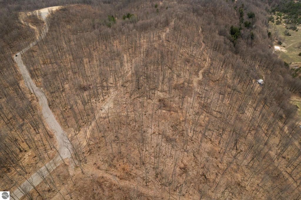 Aerial view of wooded land with cleared paths and bare trees, showcasing the 5.51-acre lot available for sale at Lot E Retreats Way, Rapid City, MI, ideal for building a home or retreat.