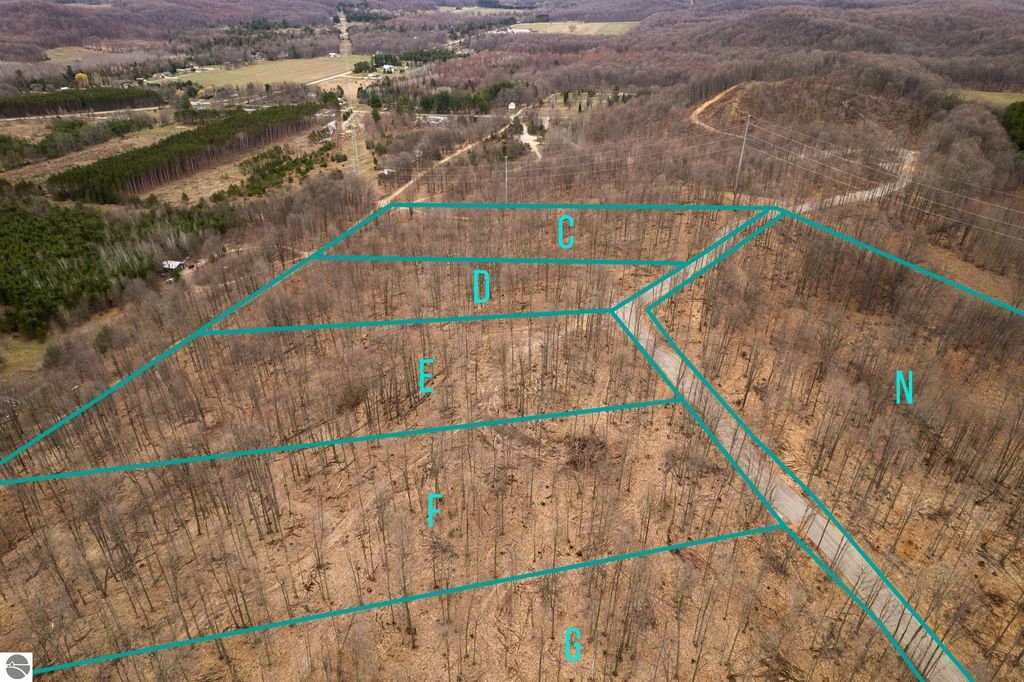 Aerial view of wooded land parcels labeled A to N, showcasing cleared building sites and private roads in a serene setting near Rapid City, MI, ideal for future home development.
