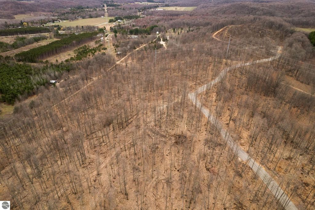 Aerial view of wooded land with cleared areas and winding private roads, showcasing 5.51 acres of property in Rapid City, MI, ideal for building a home or retreat.