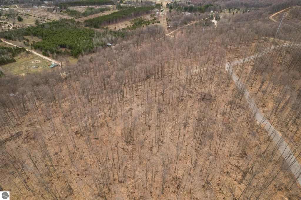 Aerial view of wooded land with bare trees and cleared areas, showcasing potential building sites for residential development near Rapid City, MI.