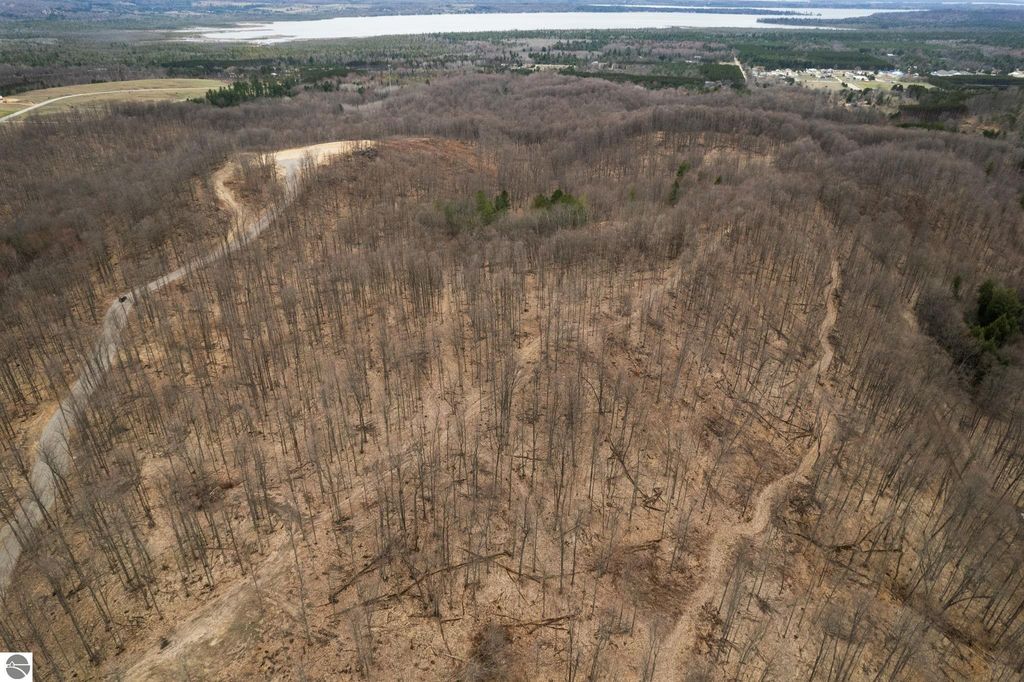 Aerial view of wooded land with cleared paths and rolling hills near Torch Lake, showcasing potential building sites in Northern Michigan.