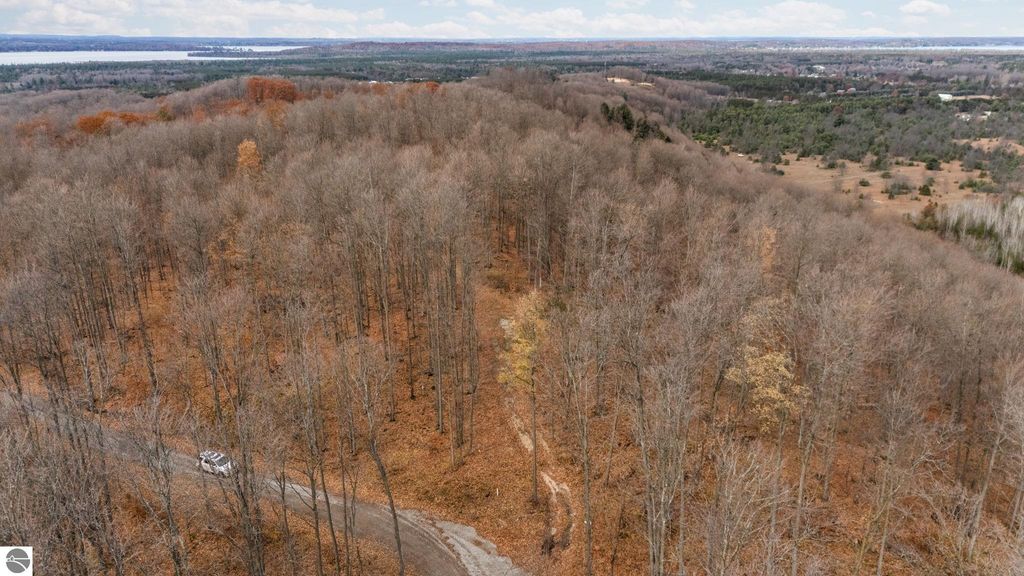 Aerial view of wooded land with bare trees and a winding road, showcasing the natural landscape near Rapid City, MI, ideal for building a retreat or home.