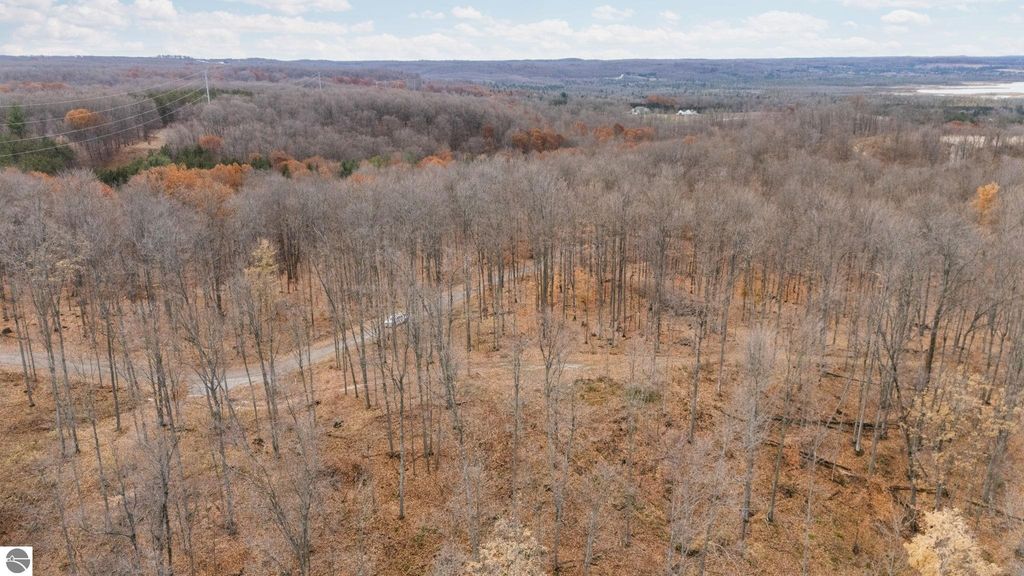 Aerial view of wooded land with cleared paths, showcasing the natural beauty and potential of 5.51 acres in Rapid City, MI, suitable for building a retreat or home.