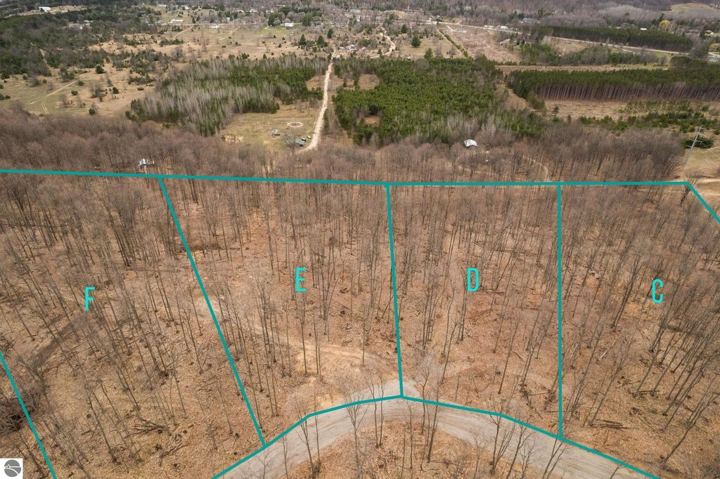 Aerial view of wooded land parcels labeled F, E, D, and C, showcasing the 5.51 acres available for sale at Lot E Retreats Way, Rapid City, MI, surrounded by rolling hills and trees.