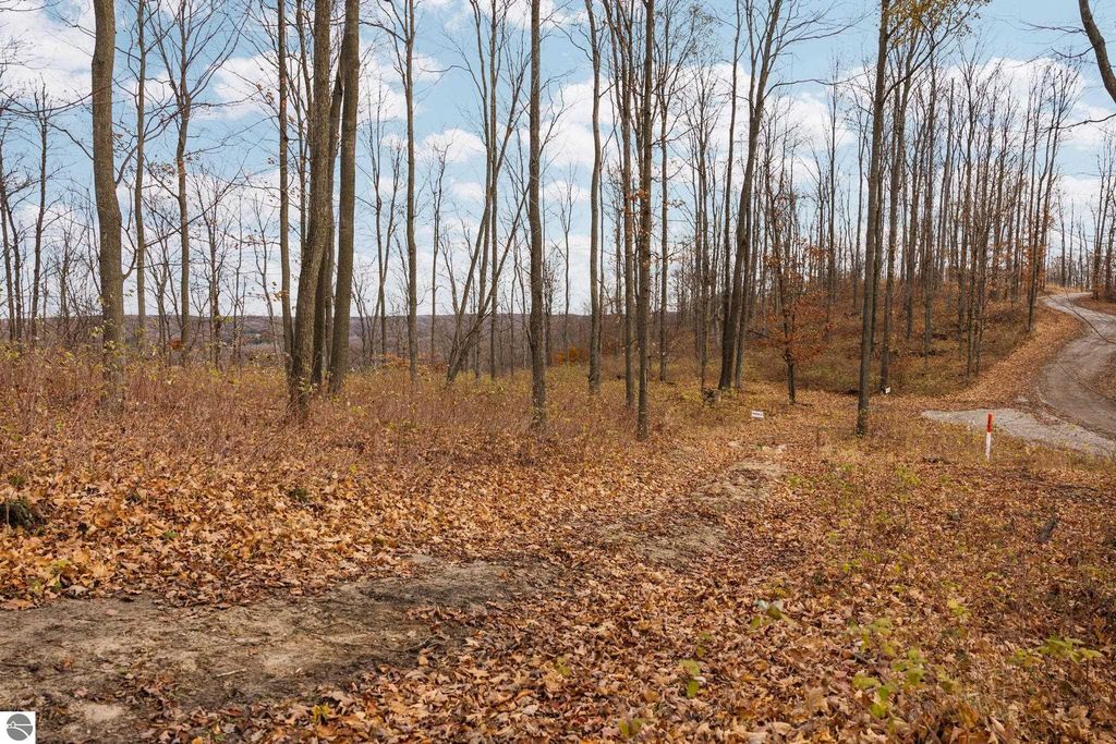 Cleared land with fallen leaves and trees, showcasing a potential building site in Rapid City, MI, surrounded by wooded areas and rolling hills, ideal for a dream home or retreat.