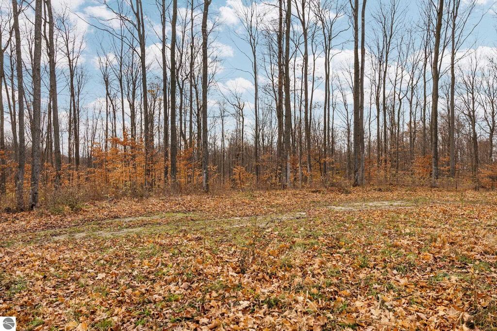 Wooded lot with bare trees and fallen leaves, showcasing a peaceful setting in Northern Michigan, ideal for building a home or retreat near Rapid City.