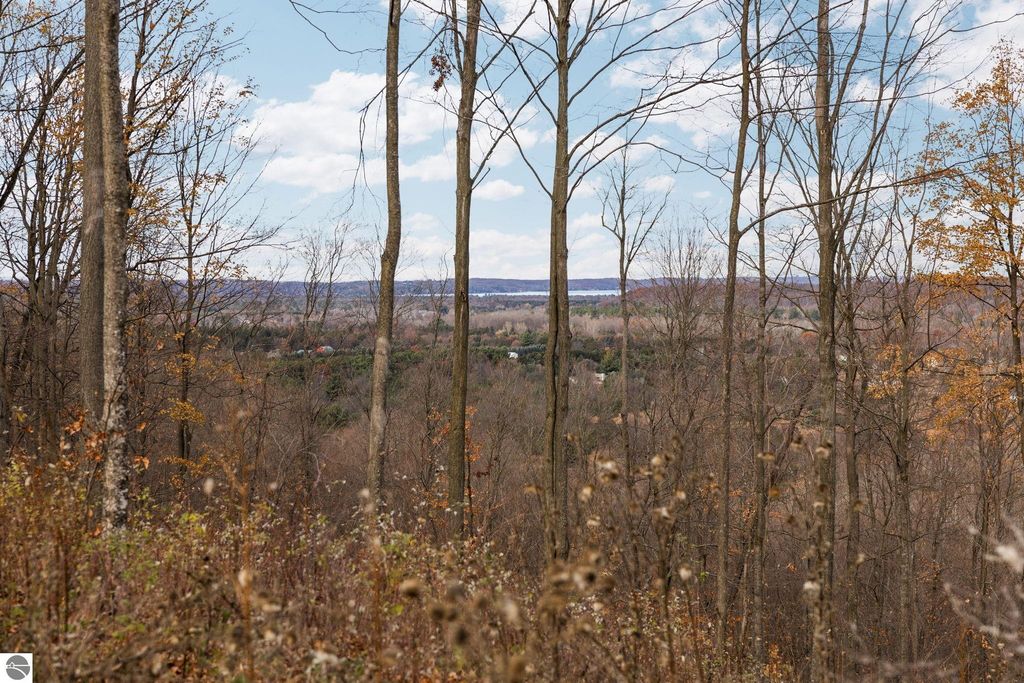 Scenic view of rolling hills and wooded landscape in Northern Michigan, showcasing the tranquil setting near Rapid City, ideal for potential home sites on expansive lots.