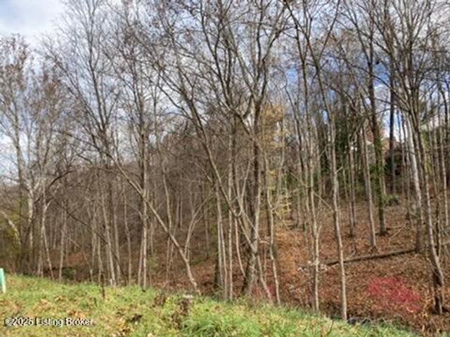 7909 Barbour Manor Dr, Louisville, KY 40241