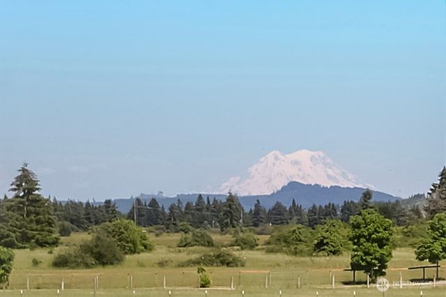 7038 183rd Avenue SW, Rochester, WA 98579