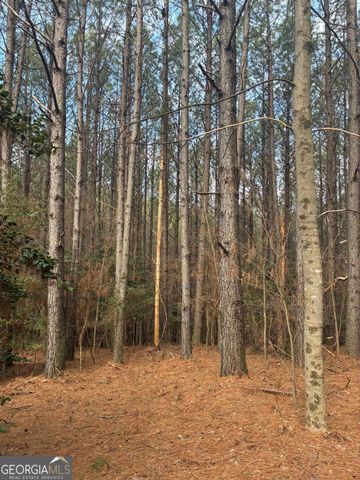 26 Foxpaw Leaf Lane, Ellijay, GA 30536