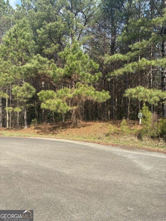26 Foxpaw Leaf Lane, Ellijay, GA 30536