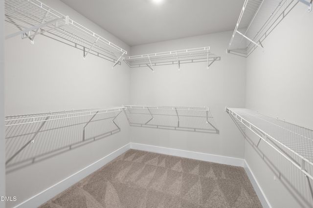 425 Carolina Street, Morrisville, NC 27560