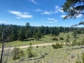 7 Bugling Elk, Columbus, MT 59019