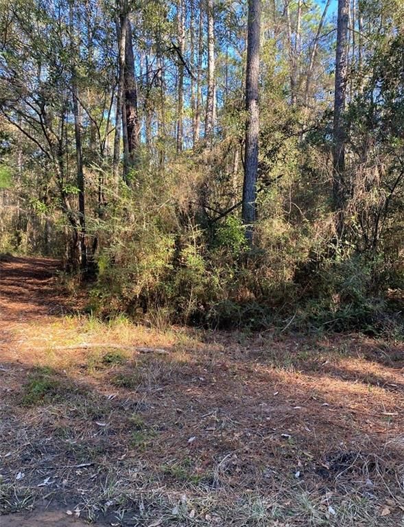 0 Marie Lane, Daphne, AL 36526