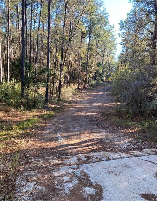 0 Marie Lane, Daphne, AL 36526 — photo 4