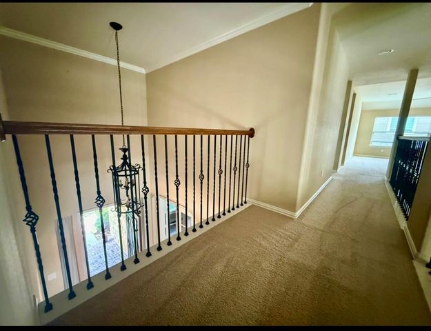 10314 Hatcher Dr, Katy, TX 77494