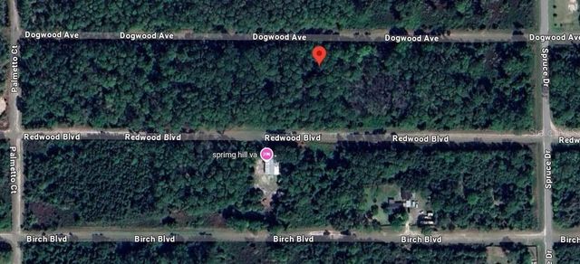 423 DOGWOOD AVENUE, Georgetown, FL 32139