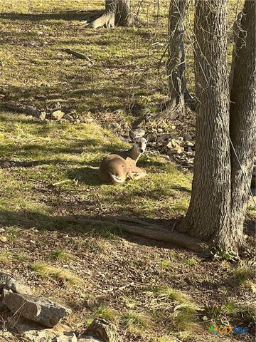 1706 Freedom Lane, Copperas Cove, TX 76522