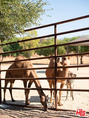 38831 Pauba Road, Temecula, CA 92592