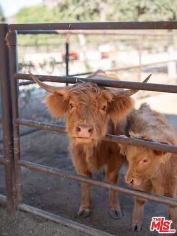 38831 Pauba Road, Temecula, CA 92592