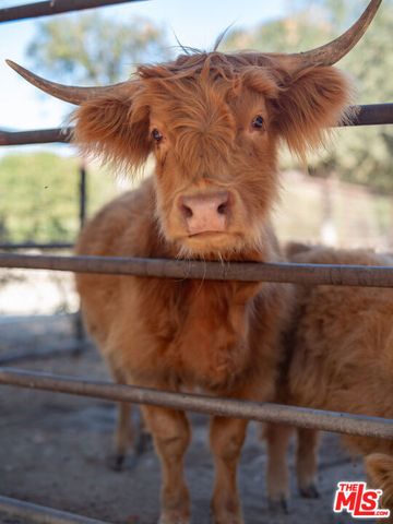 38831 Pauba Road, Temecula, CA 92592