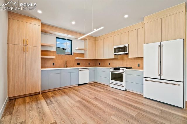 421 Chestnut Street A,B,C, Buena Vista, CO 81211