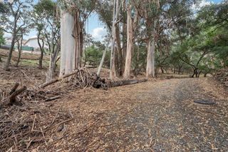 0 Hidden Oaks, Hayward, CA 94541