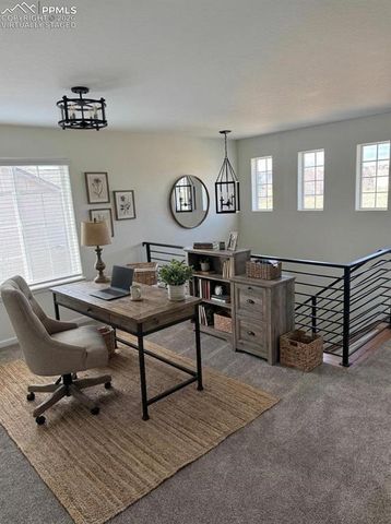 1272 Timber Run Heights, Monument, CO 80132