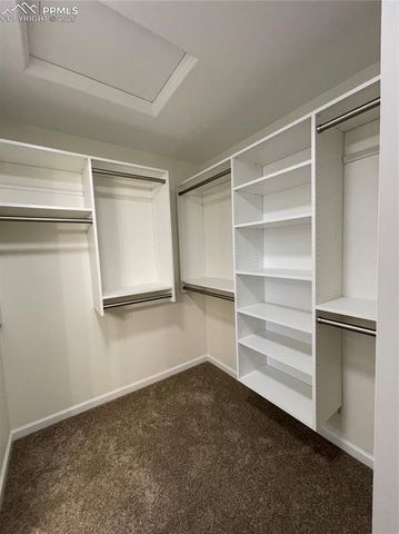 1272 Timber Run Heights, Monument, CO 80132