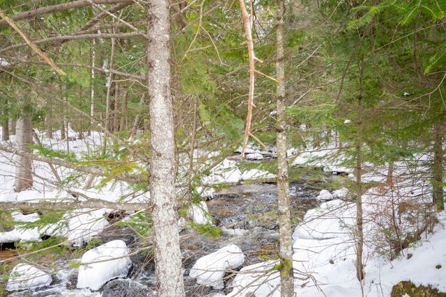 896 Standish Road, Saranac, NY 12981