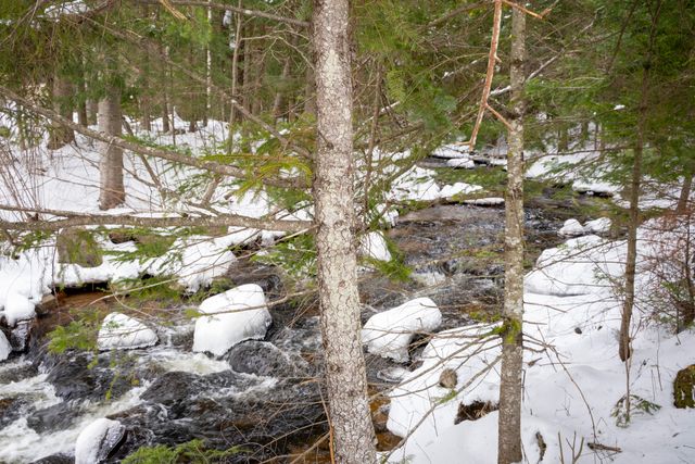 896 Standish Road, Saranac, NY 12981