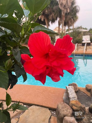 30475 Harbour Drive OH-03, Orange Beach, AL 36561