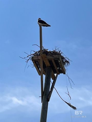 30475 Harbour Drive OH-03, Orange Beach, AL 36561